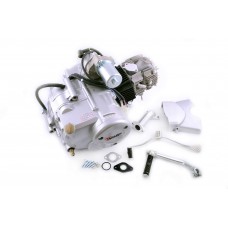 Двигатель   Delta, Activ 110cc   (АКПП 152FMH)   (TM)   EVO