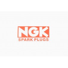 Наклейка   логотип   NG   (11х6см)   (#0241)