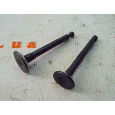 Клапаны   мотокосы   4T 139F SVET