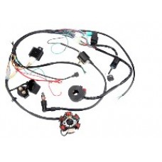 Проводка   ATV  50/110 (в сборе)   FLD