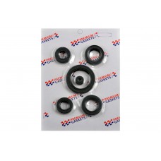 Сальники (набор)   Zonghsen, Lifan 125/150   (OHV)   (полный)   PREMIUM GASKETS