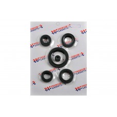 Сальники (набор)   4T CG200   (полный)   PREMIUM GASKETS