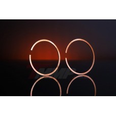 Кольца б/п   для St M 250   (Ø42,5mm, пластиковая коробка)   EVO