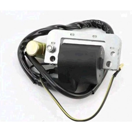 Катушка зажигания   4T CG125/150   (+конденсатор)   EVO