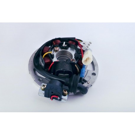 Статор генератора Yamaha JOG 50 (5+1 котушок, 5 проводів) (mod.A)