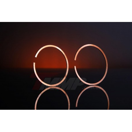 Кольца б/п   для St M 250   (Ø42,5mm, пластиковая коробка)   EVO