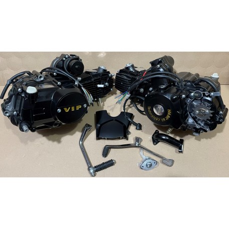 Двигун Delta, Activ 110cc (АКПП 152FMH) (чорний) VDK