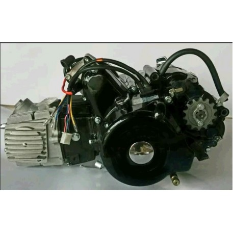 Двигатель   Delta, Activ 110cc   (АКПП 152FMH)   (чёрный)   EVO